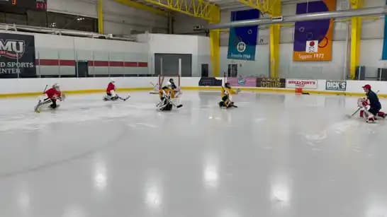 Group of goalies warming up